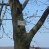 bad-urach-002