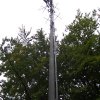 calw-002