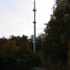 leonberg-001