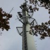 leonberg-005