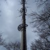 nagold-002