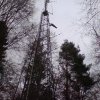 nagoldtal-001