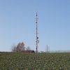 salen-001