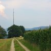 schwaebisch-gmuend-001