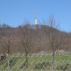 waldenburg-001
