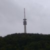waldenburg-002