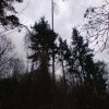 wertheim-001