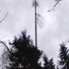 wertheim-002