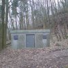 wertheim-003