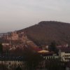 wertheim-004