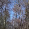 zwiefalten-004